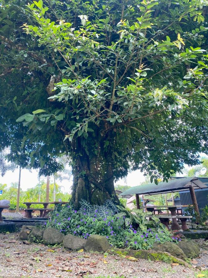 فندق Termales Del Arenal La Fortuna المظهر الخارجي الصورة